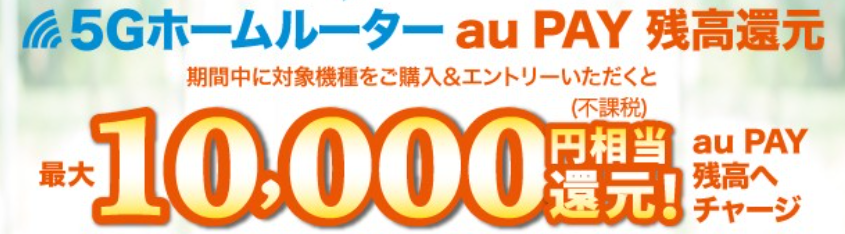 5GホームルーターauPay特典